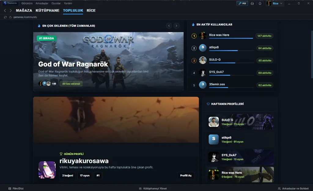 Gamevia Oyuncu Topluluğu ve Sosyal Alan